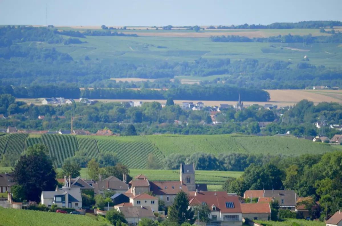 Agreable Maison Petit Jardin A 7 Minutes De Reims Apartment Pargny-les-Reims